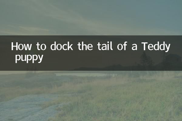 How to dock the tail of a Teddy puppy