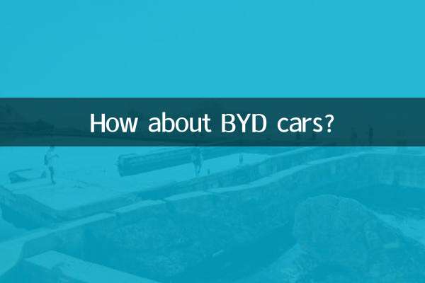 ¿Qué tal los coches BYD?