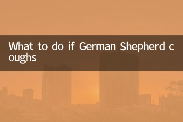 What to do if German Shepherd coughs