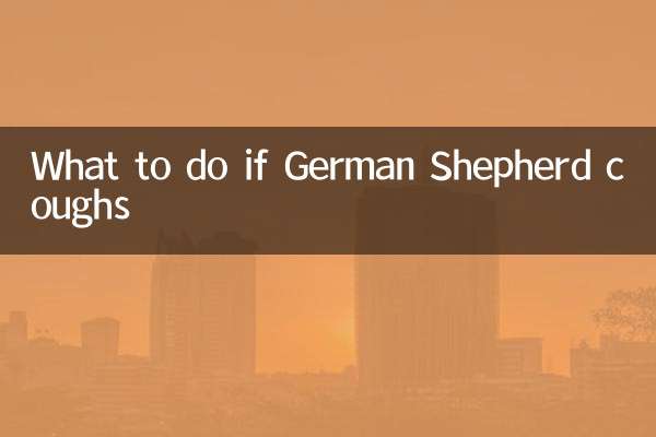 What to do if German Shepherd coughs
