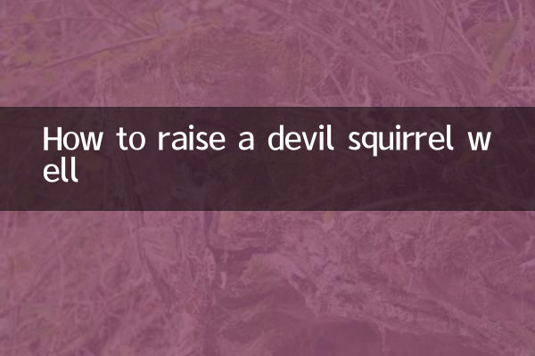 魔王松鼠怎麼養好