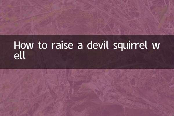 魔王松鼠怎麼養好