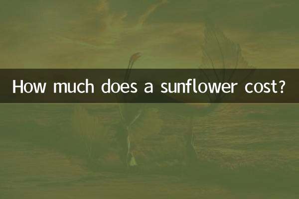 Quanto costa un girasole?