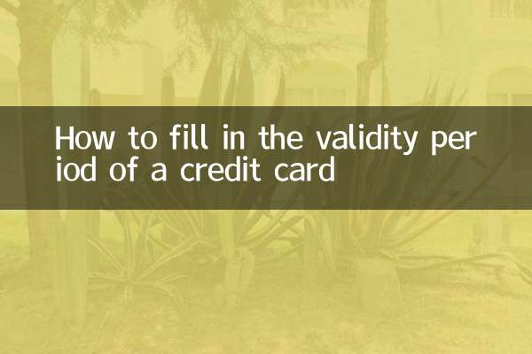 Come compilare il periodo di validità di una carta di credito