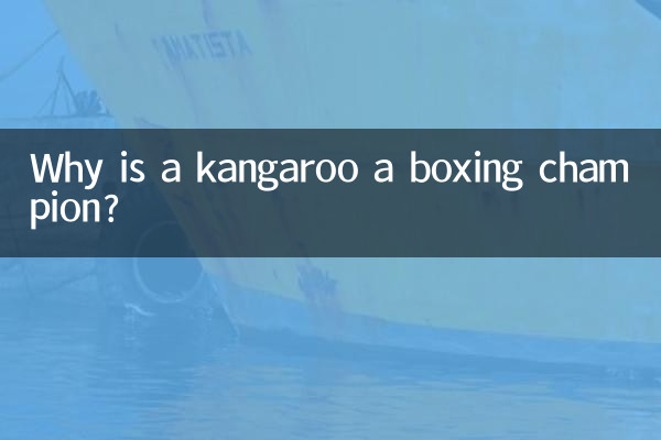なぜカンガルーはボクシングのチャンピオンなのでしょうか?