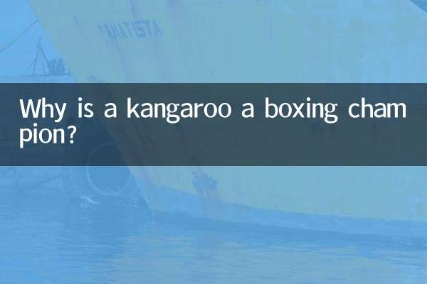 なぜカンガルーはボクシングのチャンピオンなのでしょうか?