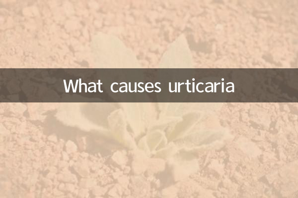 寻蔴症是什么引起的