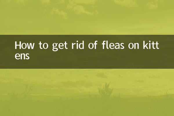 Comment se débarrasser des puces sur les chatons