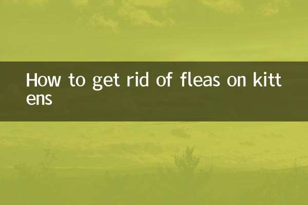 Comment se débarrasser des puces sur les chatons