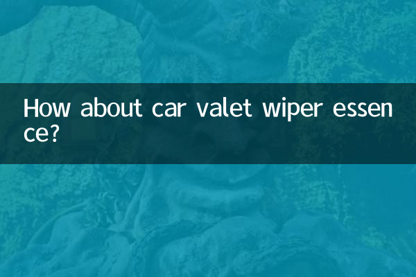 Che ne dici dell'essenza per tergicristalli del car valet?