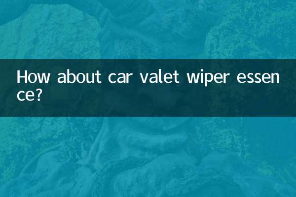 Che ne dici dell'essenza per tergicristalli del car valet?