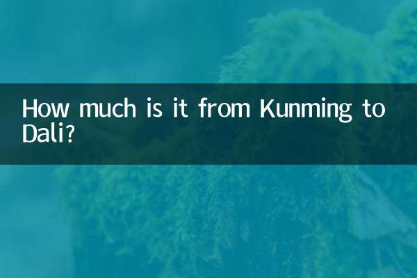 쿤밍에서 다리까지는 얼마인가요?
