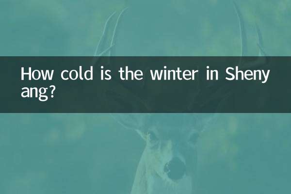 शेनयांग में सर्दी कितनी है?