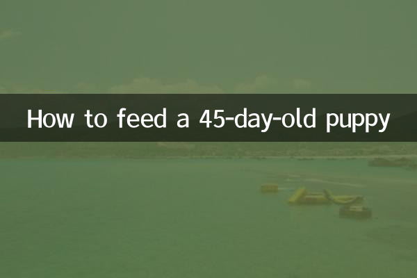Comment nourrir un chiot de 45 jours