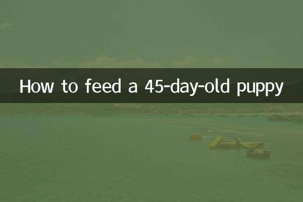 45일 된 강아지에게 먹이를 주는 방법
