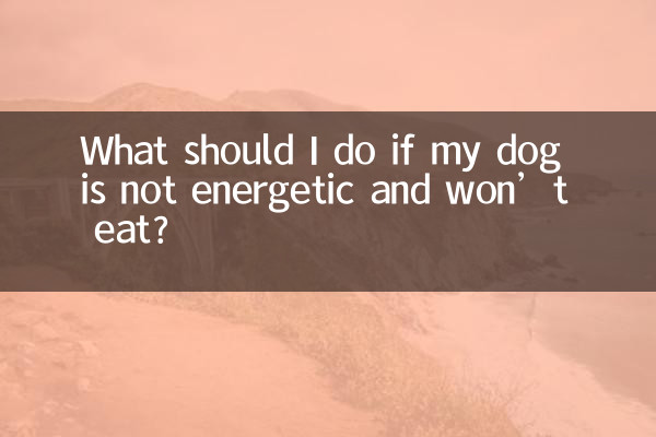 狗狗沒精神不吃東西怎麼辦