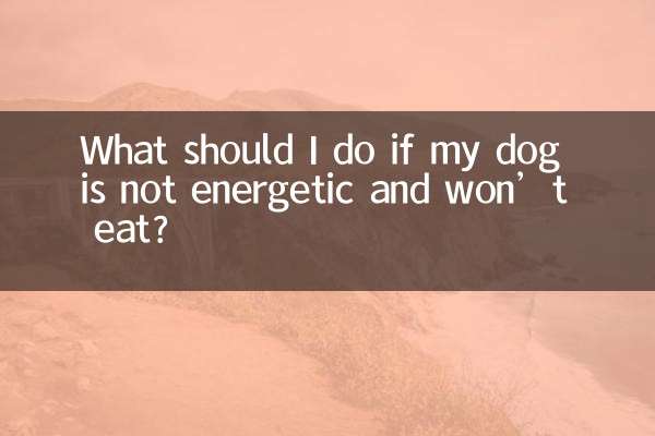 ماذا علي أن أفعل إذا كان كلبي ليس نشيطًا ولن يأكل؟