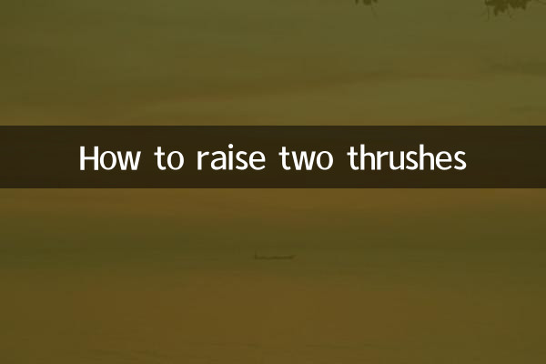 怎麼養兩隻畫眉鳥