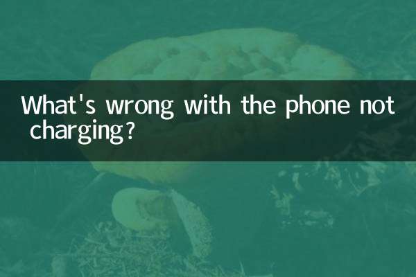 ما المشكلة في عدم شحن الهاتف؟