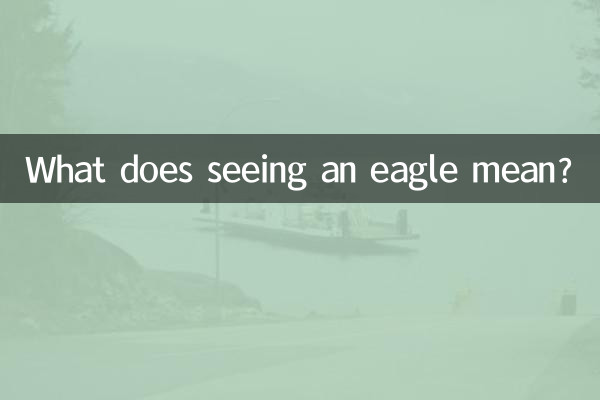 鷲を見るということは何を意味するのでしょうか？