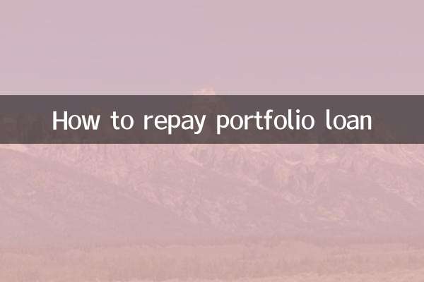 پورٹ فولیو لون کی ادائیگی کیسے کریں