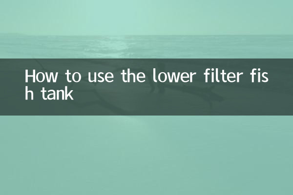 How to use the lower filter fish tank