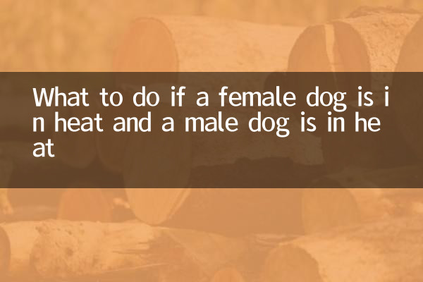 What to do if a female dog is in heat and a male dog is in heat