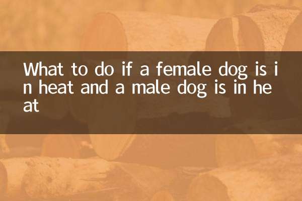 What to do if a female dog is in heat and a male dog is in heat