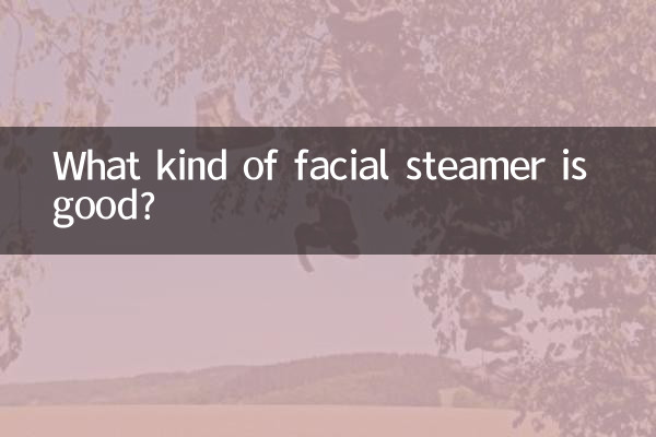 どんな美顔スチーマーがいいの?