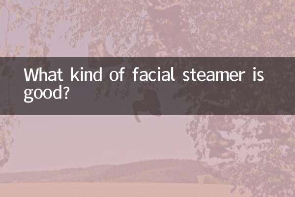 どんな美顔スチーマーがいいの？