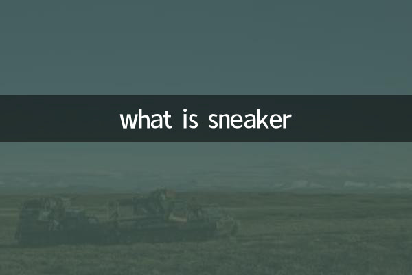 sneaker是什麼