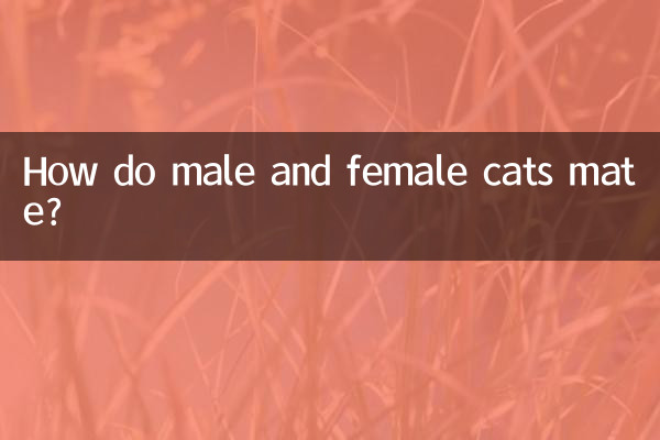 كيف تتزاوج القطط الذكور والإناث؟