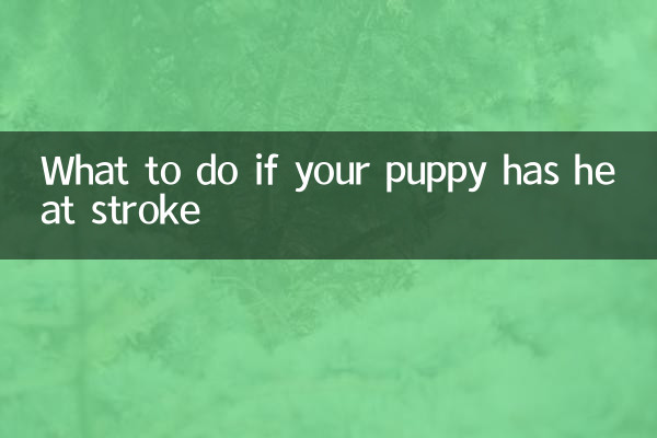 Cosa fare se il tuo cucciolo ha un colpo di calore