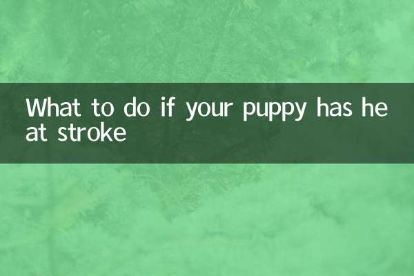 اگر توله سگ شما دچار گرمازدگی شد چه باید کرد؟