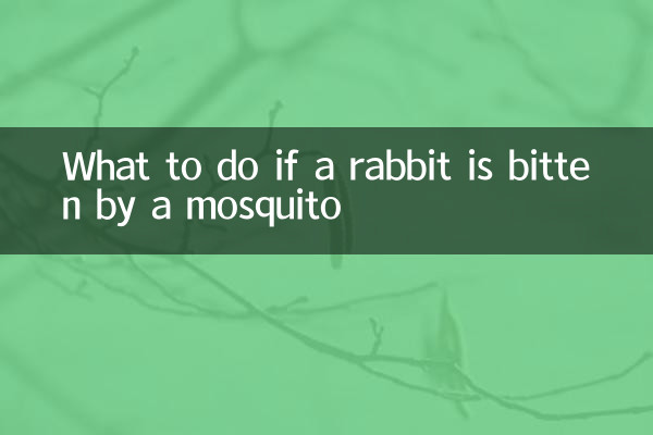 ウサギが蚊に刺されたらどうするか