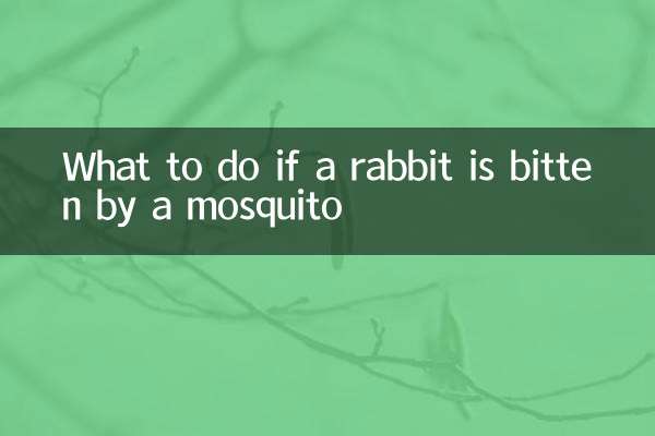 ウサギが蚊に刺されたらどうするか