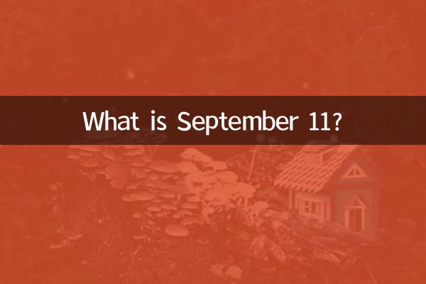 11 سپتامبر چیست؟