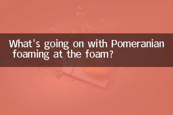 O que está acontecendo com a formação de espuma da Pomerânia na espuma?