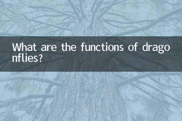 ड्रैगनफ़्लाइज़ के कार्य क्या हैं?