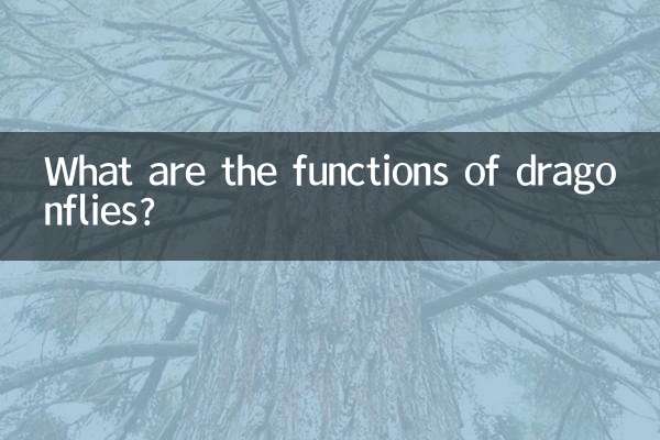 トンボの役割は何ですか?