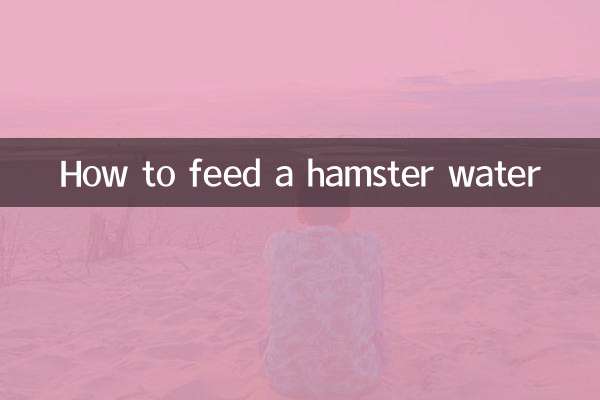 كيفية إطعام الهامستر بالماء