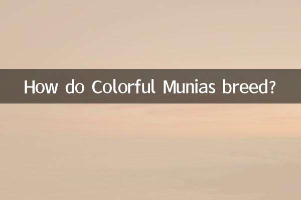 컬러풀 무니아는 어떻게 번식하나요?