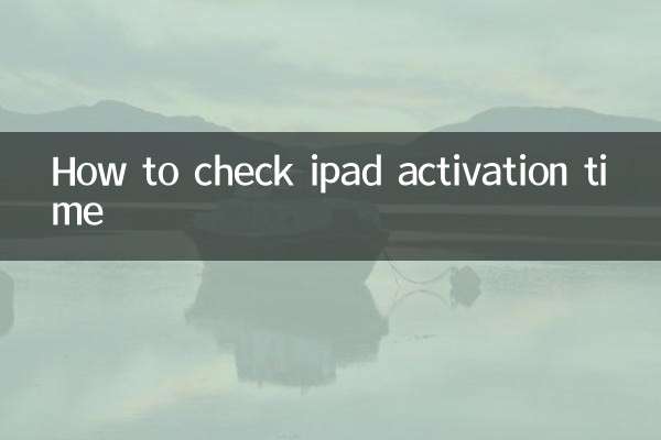 How to check ipad activation time