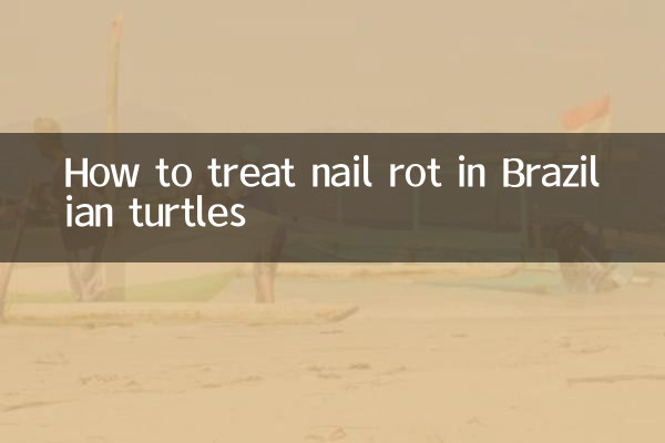 Wie behandelt man Nagelfäule bei brasilianischen Schildkröten?