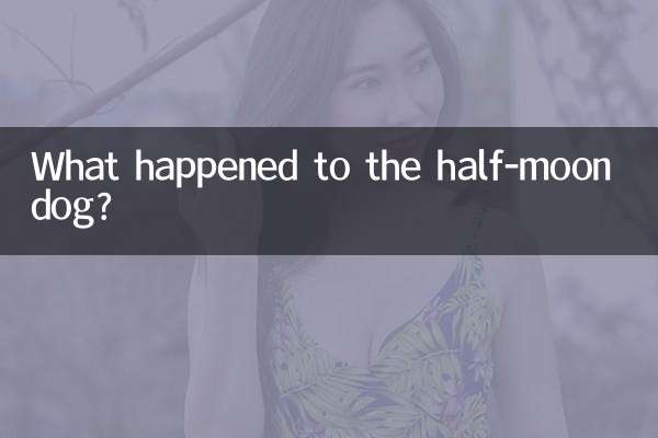 ماذا حدث للكلب نصف القمر؟