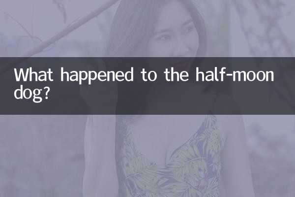 آدھے چاند والے کتے کا کیا ہوا؟