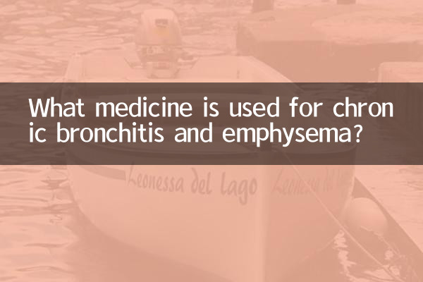 慢性支气管炎肺气肿用什么药