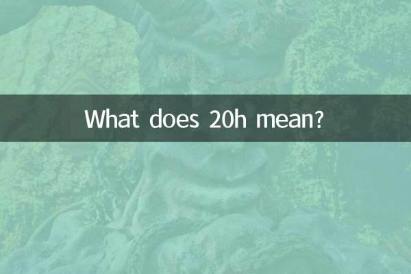 20h是什麼意思