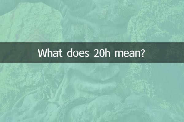 20h是什麼意思