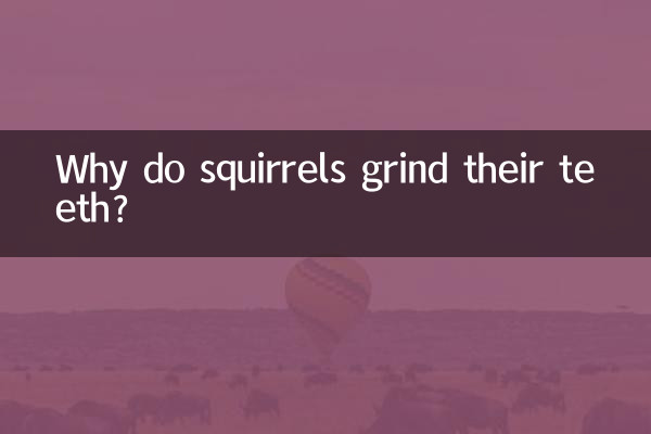 ¿Por qué las ardillas rechinan los dientes?